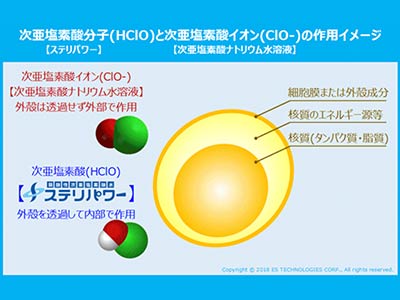 ステ離パワー（弱酸性次亜塩素酸水）